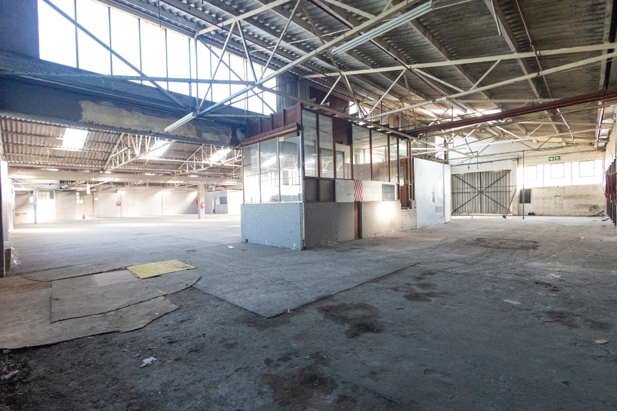 To Let Commercial Property for Rent in Epping Industrial Western Cape